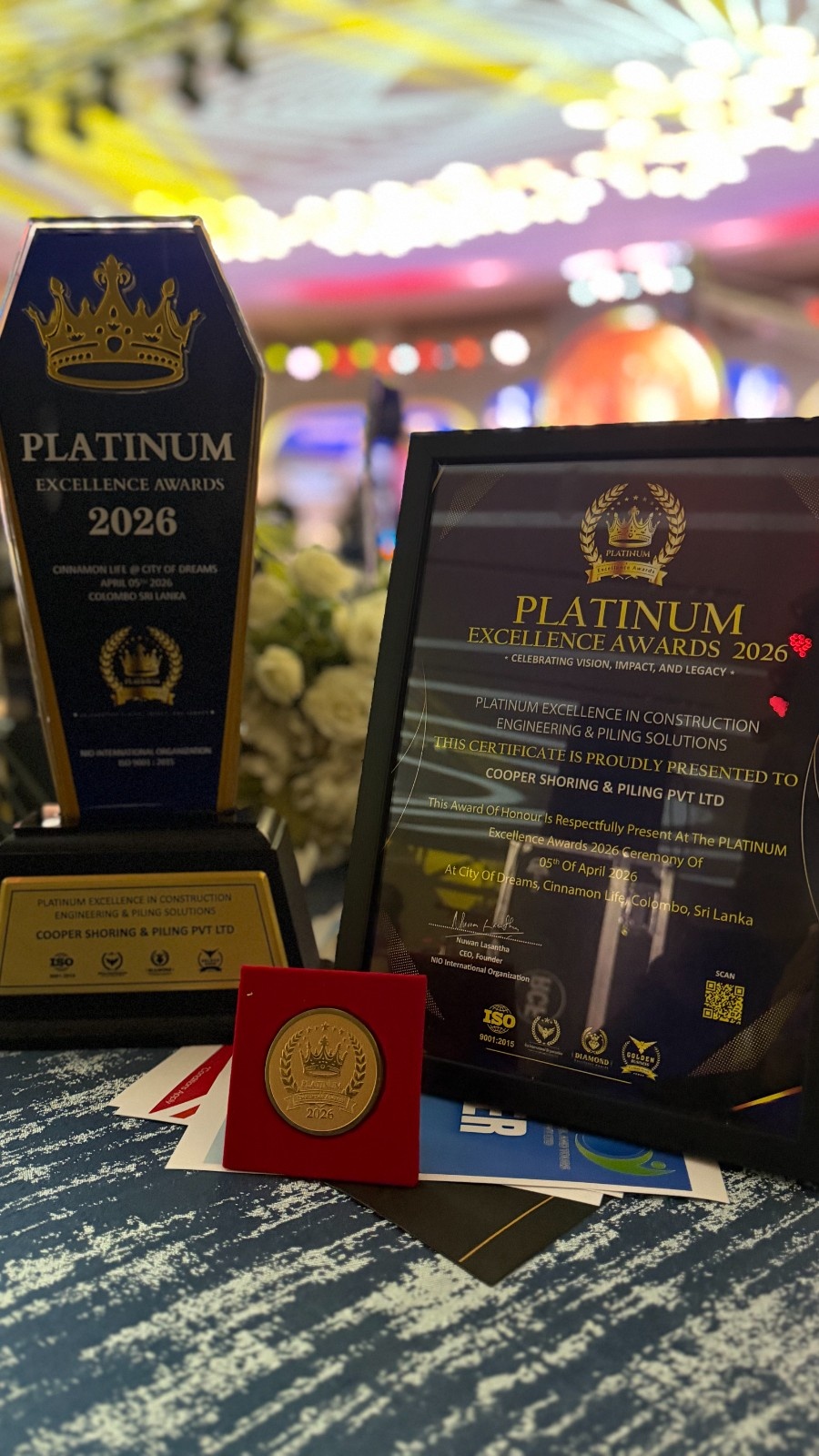 Platinum Excellence in Construction Engineering & Piling Solutions Award